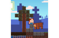 Play CraftMine now!
