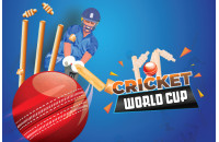 Play Cricket World Cup Game now!
