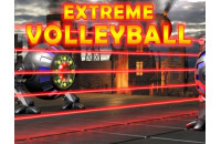 Play Extreme Volleyball now!