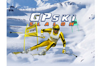 Play GP Ski Slalom now!