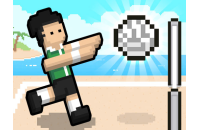 Play Volley Random now!