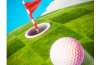 Play Minigolf Tour now!