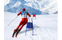 Play Slalom Ski Simulator now!